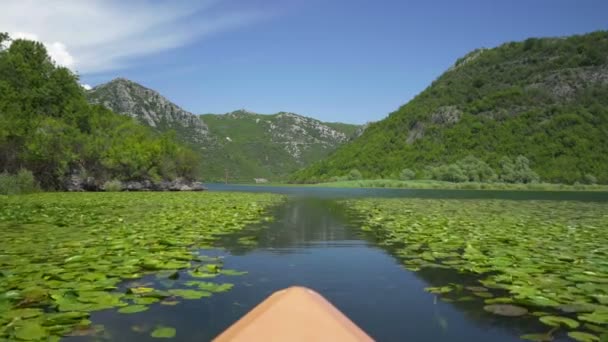 Моторная лодка плавает на реке Црноевица — стоковое видео
