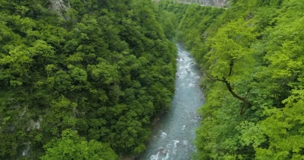 Vista aérea do desfiladeiro do rio Moraca . — Vídeo de Stock