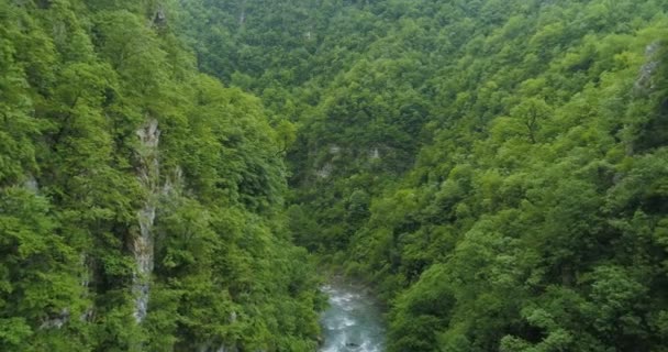 Aerial view of Moraca mountain river canyon. — Stock Video