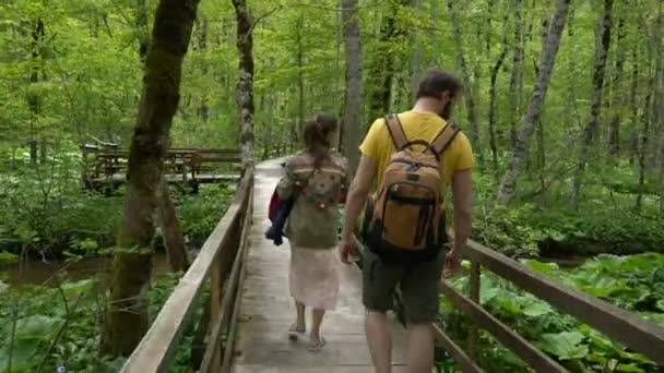 Пара, идущая вдоль лесной тропы — стоковое видео