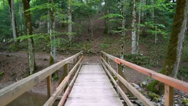 Vista di un personale passaggio prospettico attraverso un ponte di legno nel bosco — Video Stock