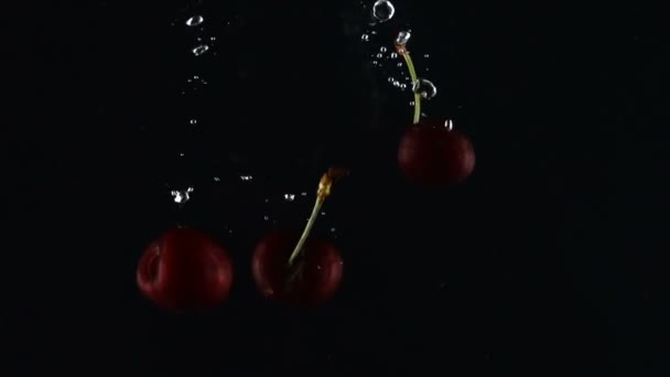 Ripe dark red sweet cherry falls in water on a black background — Stock Video