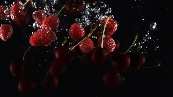 Mischung aus reifen Beeren fällt auf schwarzem Hintergrund ins Wasser — Stockvideo