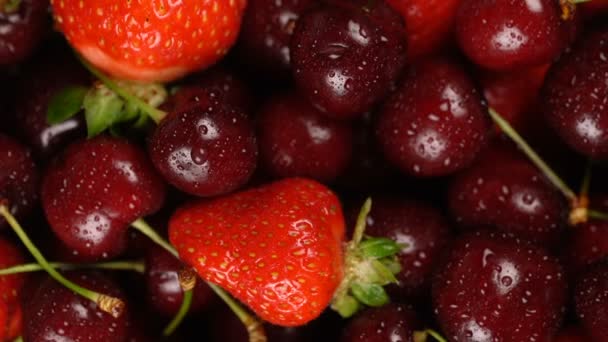 Fresas frescas, maduras, jugosas y fresas de fondo, cerca de bayas, rotación de zoom . — Vídeo de stock