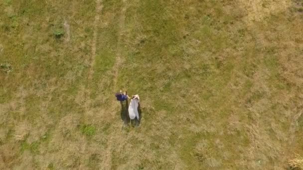 Yeni evliler gün batımında çimenler üzerinde koşmak — Stok video