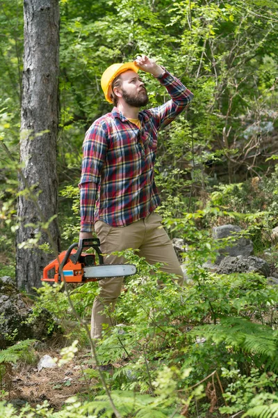 Un trabajador de motosierra barbudo en el bosque — Foto de Stock