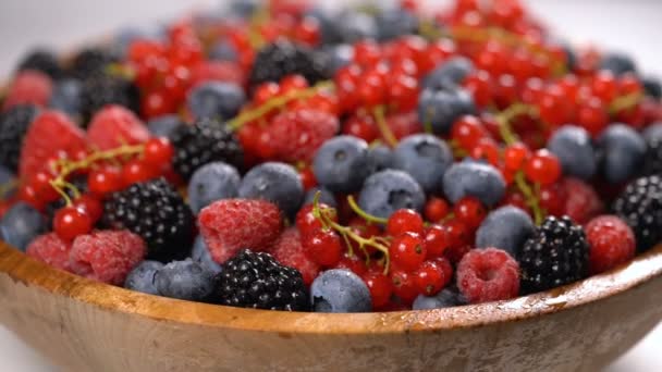 Frische Himbeeren, Brombeeren, rote Johannisbeeren und Blaubeeren — Stockvideo