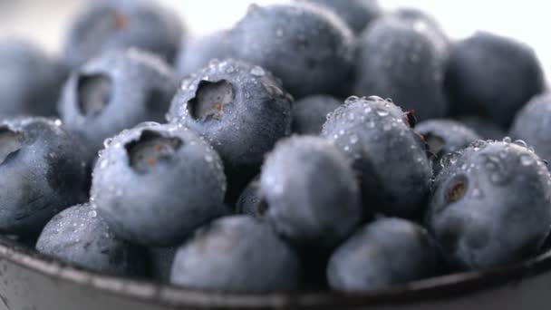 Blueberry with dew background rotates seamless loop — Stock Video