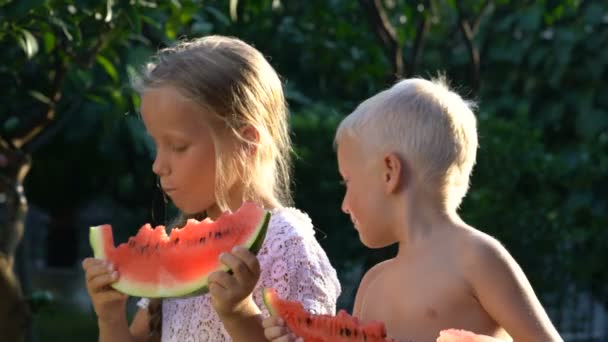 Bahçede karpuz yiyen erkek ve kız kardeş — Stok video