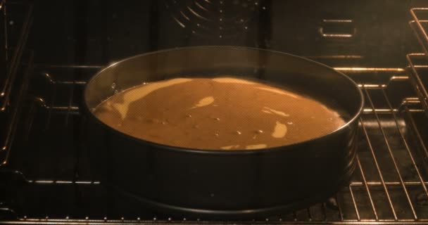 Biskuitkuchen im Ofen backen — Stockvideo