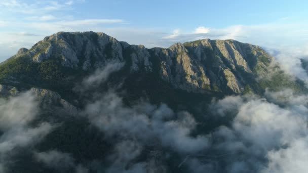 Luftaufnahme über den Wolken — Stockvideo