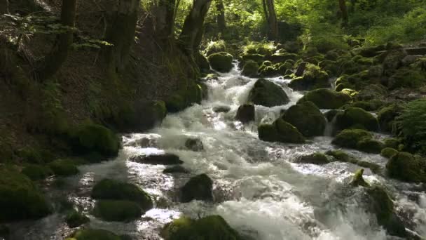 Waterval met bergrivier in Montenegro. — Stockvideo