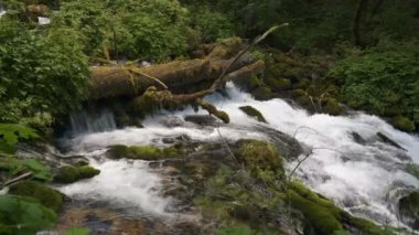 Karadağ 'da dağ nehri olan şelale.