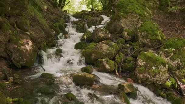Wasserfall mit Bergfluss in Montenegro. — Stockvideo