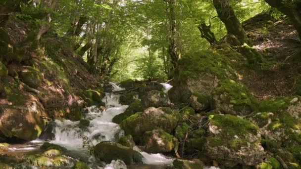 Wasserfall mit Bergfluss in Montenegro. — Stockvideo