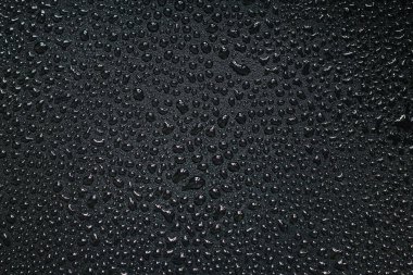 Siyah arka planda su damlacıkları. Siyah arkaplanda küçük su damlalarının yakın plan fotoğrafı.