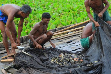 Bangladeşli balıkçılar balık ağlarıyla balık yakaladı. Balık ağlarıyla nehirde balık tutmak. Geleneksel balıkçıların hayatı. Bangladeş 'te balık tutmak büyük bir endüstri..