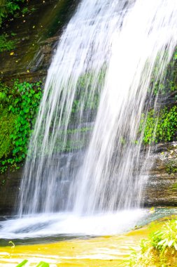 Yüksek bir duvardan çağlayan su. Bangladeş, Khagrachhari 'deki en güzel ve en büyük şelale. Adı Richang Şelalesi..
