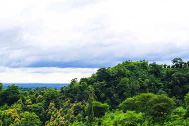 Orman ve bulutlu gökyüzü ile kaplı güzel dağ manzarası.