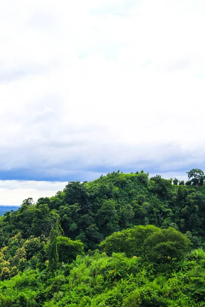 Orman ve bulutlu gökyüzü ile kaplı güzel dağ manzarası.