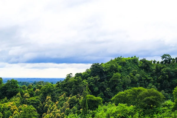 Orman ve bulutlu gökyüzü ile kaplı güzel dağ manzarası.