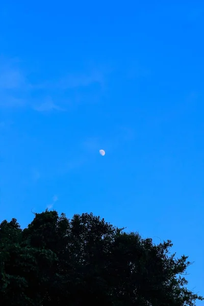 Halbmond Mit Blauem Himmel Der Majestätische Mond Klarer Himmel — Stockfoto