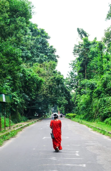 Jovem Usando Saree Vermelho Andando Estrada Asfalto Verde Menina Caminha — Fotografia de Stock