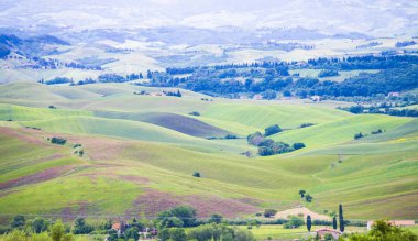 Ağaçlar ve ekili arazi, üzüm bağları, selvi, kavak ve çiftlikleri ile Tuscan kırsal