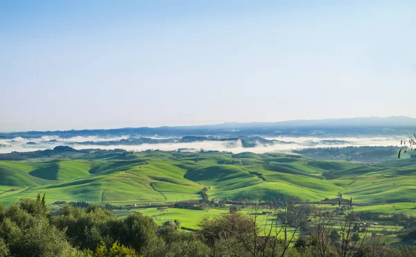 Nevoeiro Que Nasce Pela Manhã Luz Solar Paisagem Toscana Cultivada — Fotografia de Stock