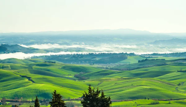 Nevoeiro Que Nasce Pela Manhã Luz Solar Paisagem Toscana Cultivada — Fotografia de Stock