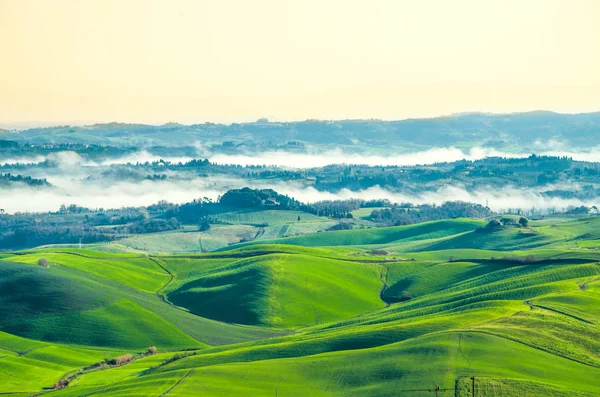 Nevoeiro Que Nasce Pela Manhã Luz Solar Paisagem Toscana Cultivada — Fotografia de Stock