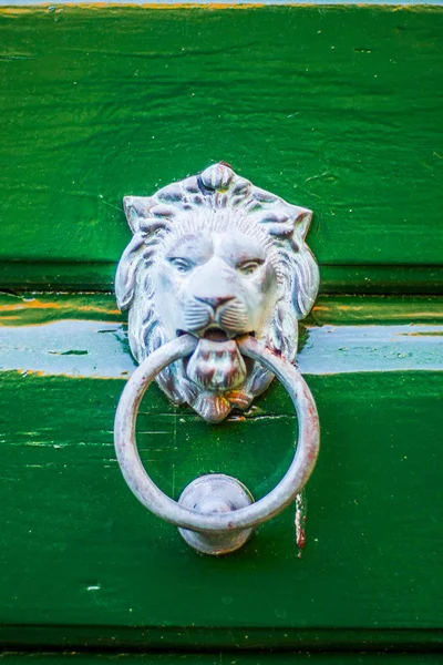 Tête Lion Métal Frappeur Porte Verte — Photo