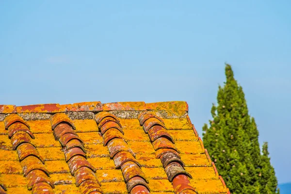 roof with aged brick roof with moss and color change