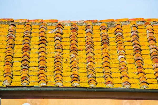 roof with aged brick roof with moss and color change