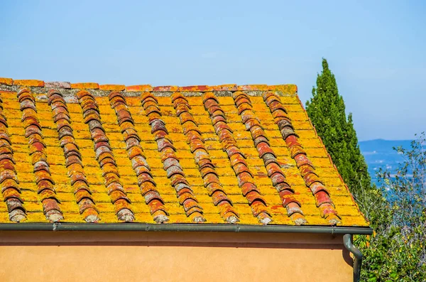 苔色と高齢者レンガ屋根の屋根を変更します — ストック写真