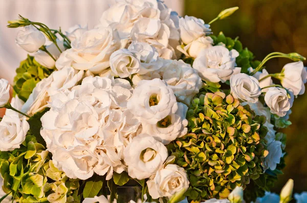 Fehér Rózsa Hortenzia Kész Világítja Meg Meleg Fény Naplemente Szerelmeseinek — Stock Fotó