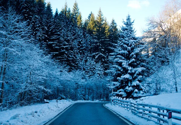 Дорога Снегу Ведет Горы Лесами Снегом Голубым Небом — стоковое фото