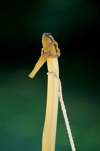 Handgefertigte Schleife Mit Erfahrenen Und Bearbeiteten Baumzweigen Seil Und Naturleder — Stockfoto
