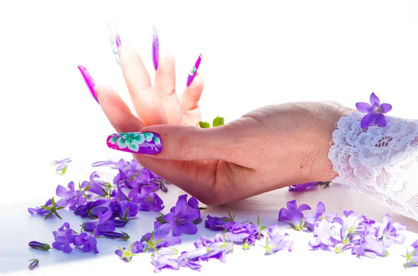 Mano Con Clavos Reconstruidos Decorados Con Flores Colores Traen Flores — Foto de Stock