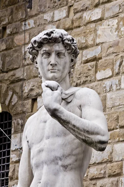 Статуя Давида Мікеланджело Флоренції Ознаками Погода Розпаду Перед Палаццо Веккьо — стокове фото