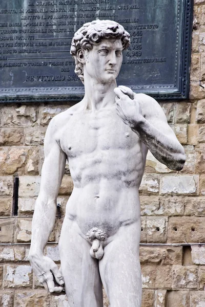 Estátua David Michelangelo Florência Com Sinais Tempo Decadência Frente Palazzo — Fotografia de Stock