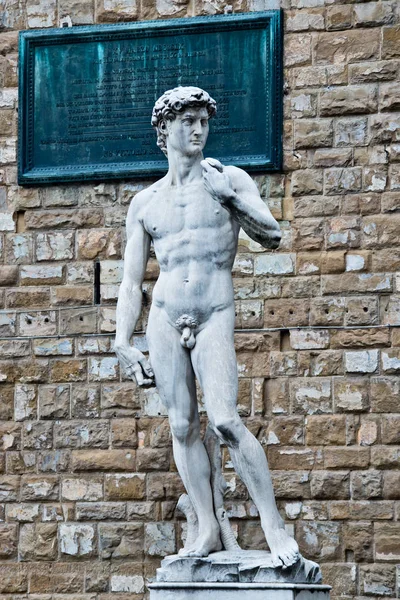 Michelangelo Nun Floransa Daki David Hava Palazzo Vecchio Önünde Çürüme — Stok fotoğraf