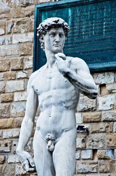 Socha Davida Michelangelo Florencii Příznaky Počasí Útlumu Palazzo Vecchio Royalty Free Stock Fotografie