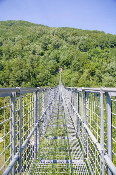 Ponte suspensa sobre o vale e as montanhas arborizadas — Fotografia de Stock