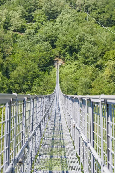 Hängbro över dalen och de skogsbevuxna berg — Stockfoto