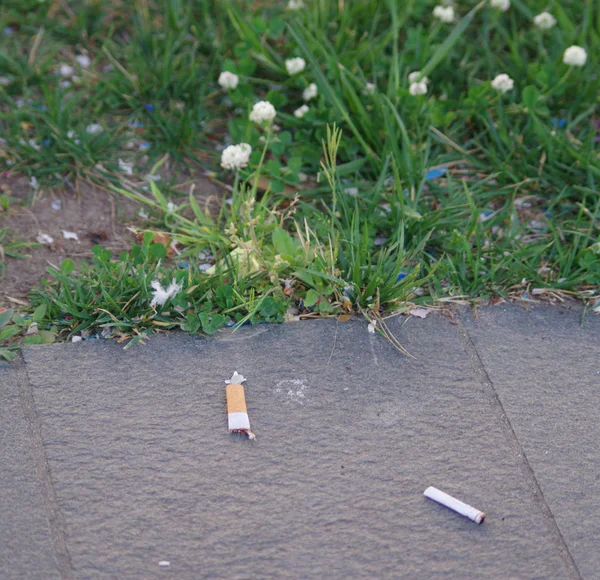 Kir ve kirliliği: sokağa atılan sigara izmaritleri — Stok fotoğraf