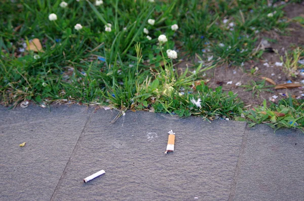 Špína a znečištění: cigaretové nedopalky do ulice Stock Snímky
