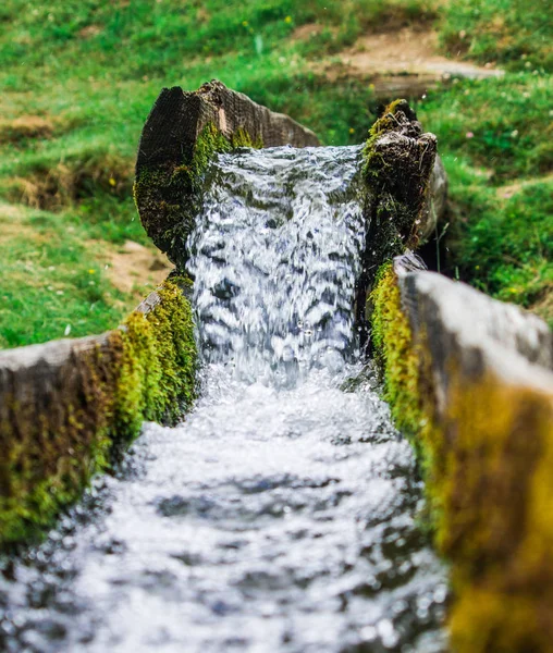 新鮮できれいな湧水が下流に流れる ロイヤリティフリーのストック画像