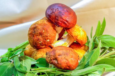 Porcini mantarı aromalı otlar.