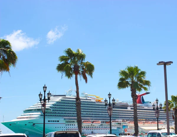 Een Cruiseschip Staat Haven Bij Pier Palmboom Autodaken Zijn Zichtbaar — Stockfoto